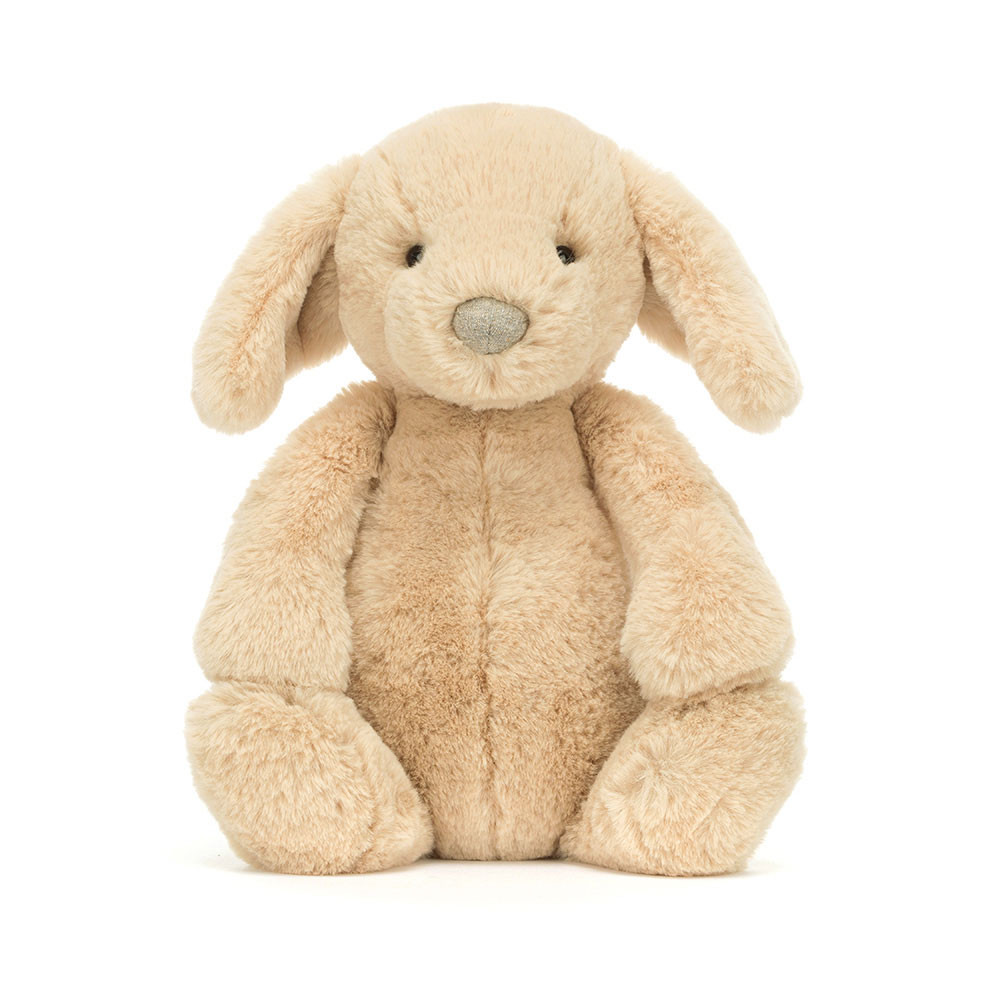 Bashful Luxe Puppy Orlando - Image 5