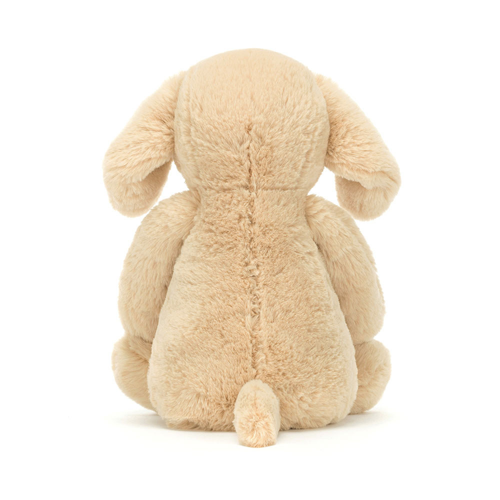 Bashful Luxe Puppy Orlando - Image 9