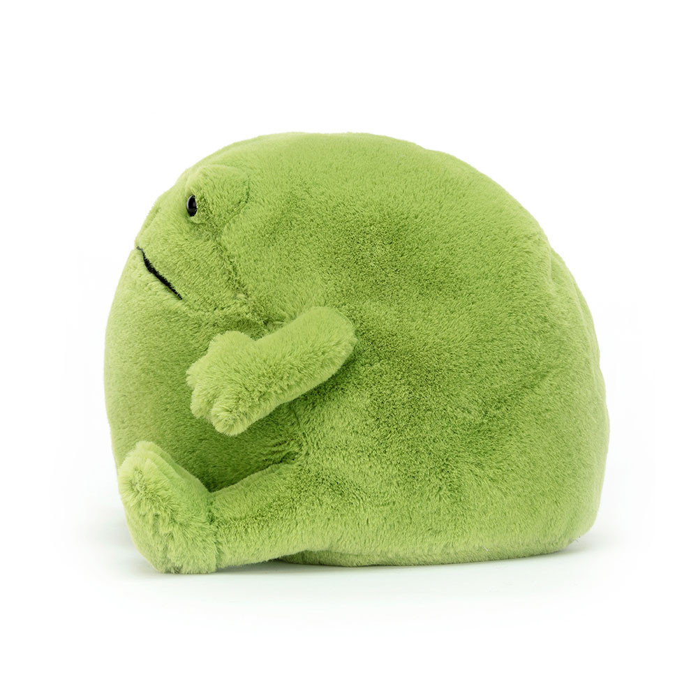 Ricky Rain Frog - Image 5