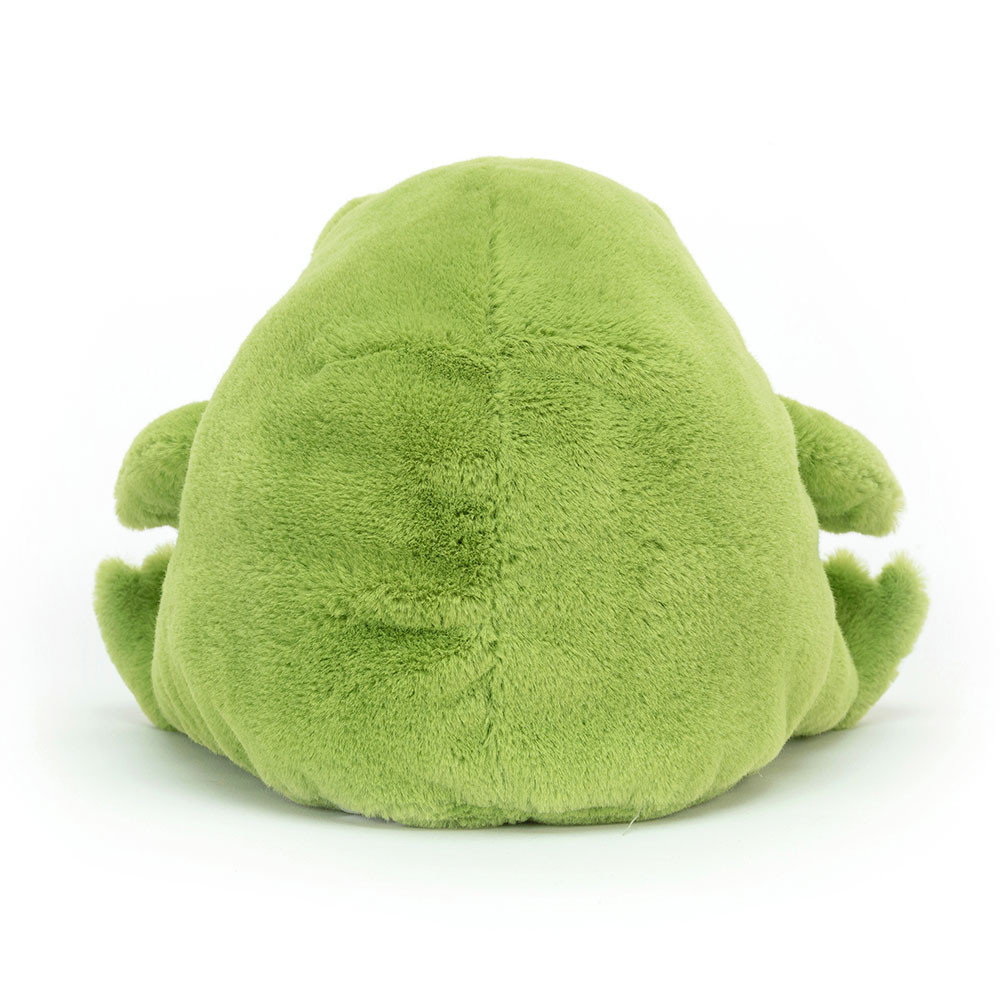 Ricky Rain Frog - Image 8