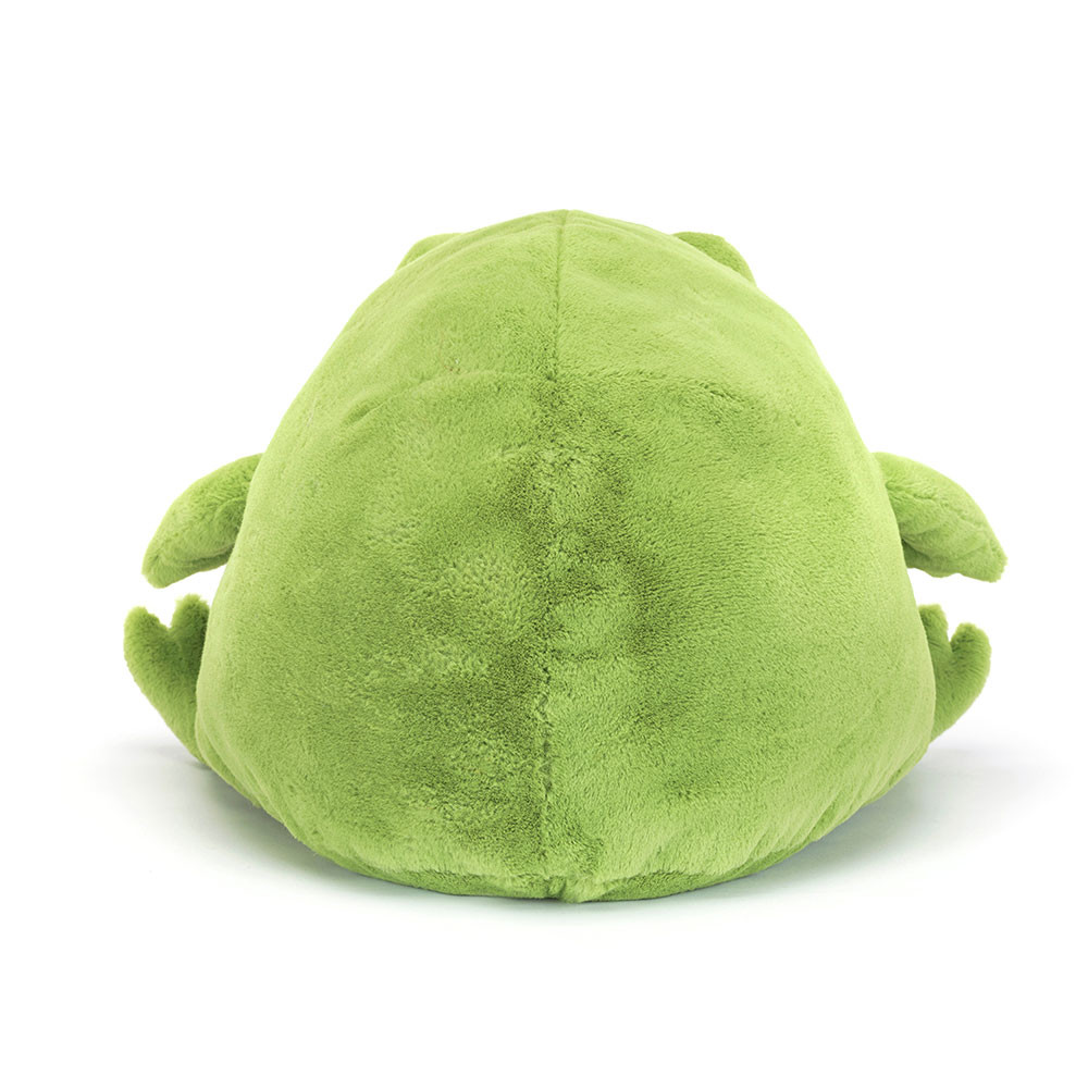 Ricky Rain Frog - Image 10