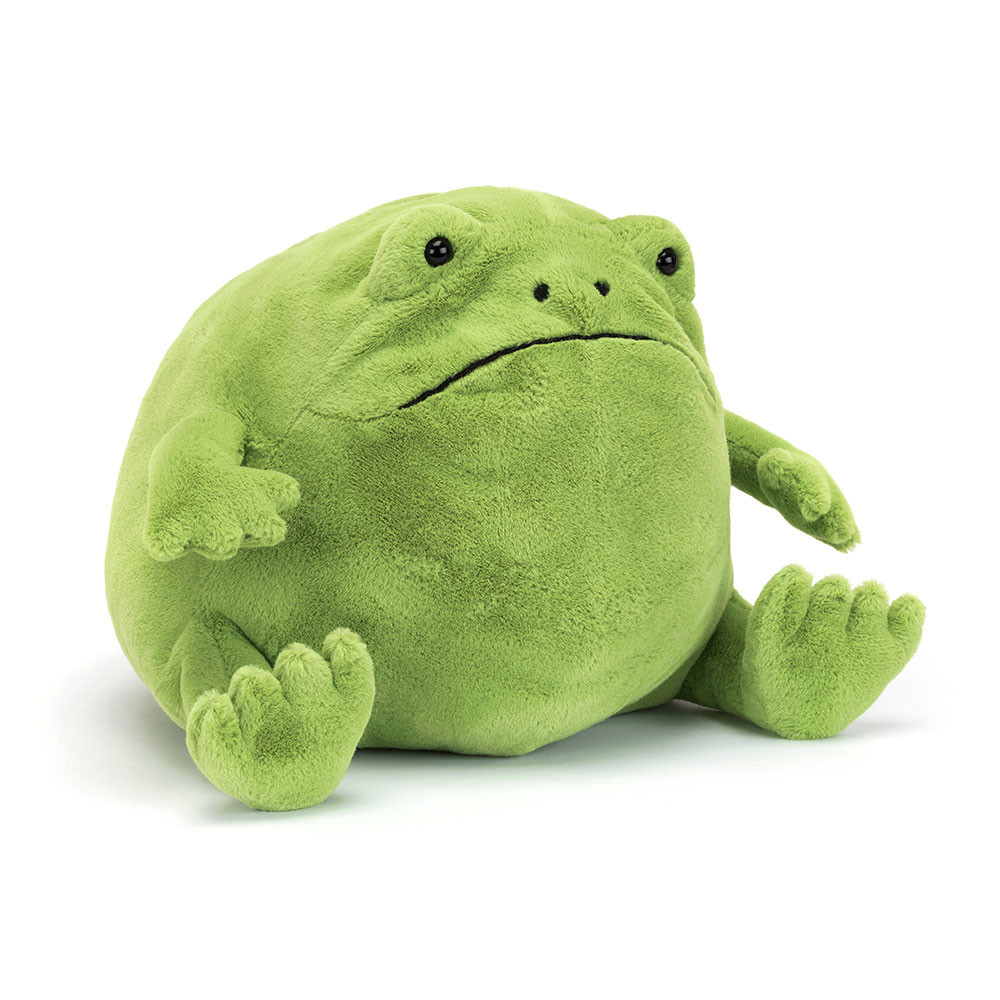 Ricky Rain Frog - Image 3