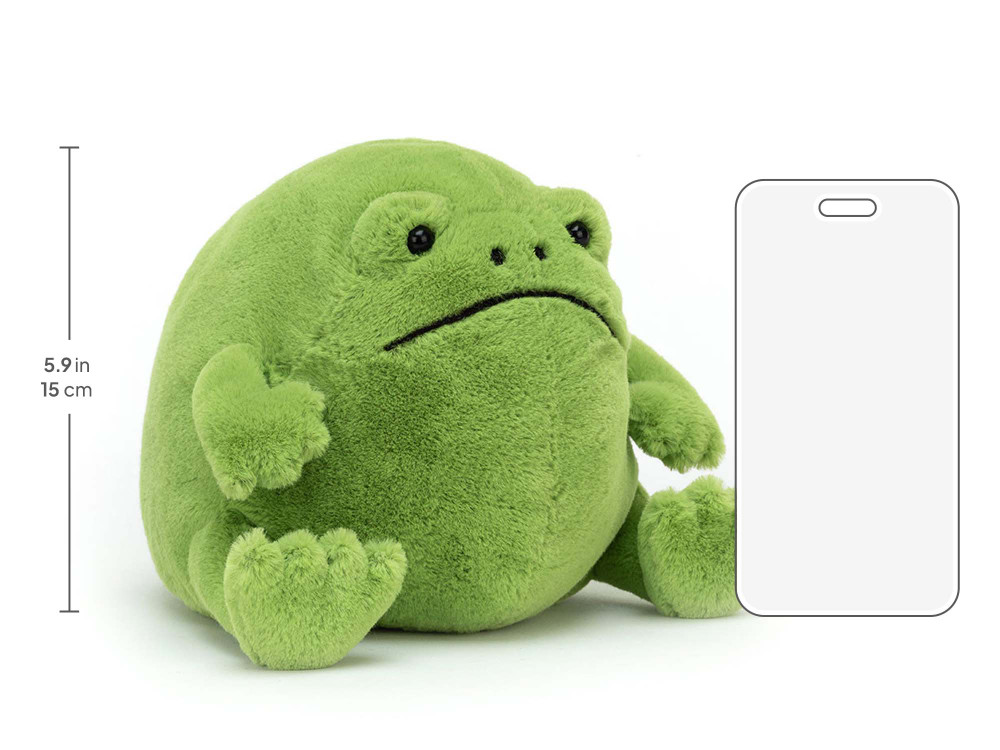 Ricky Rain Frog - Image 18