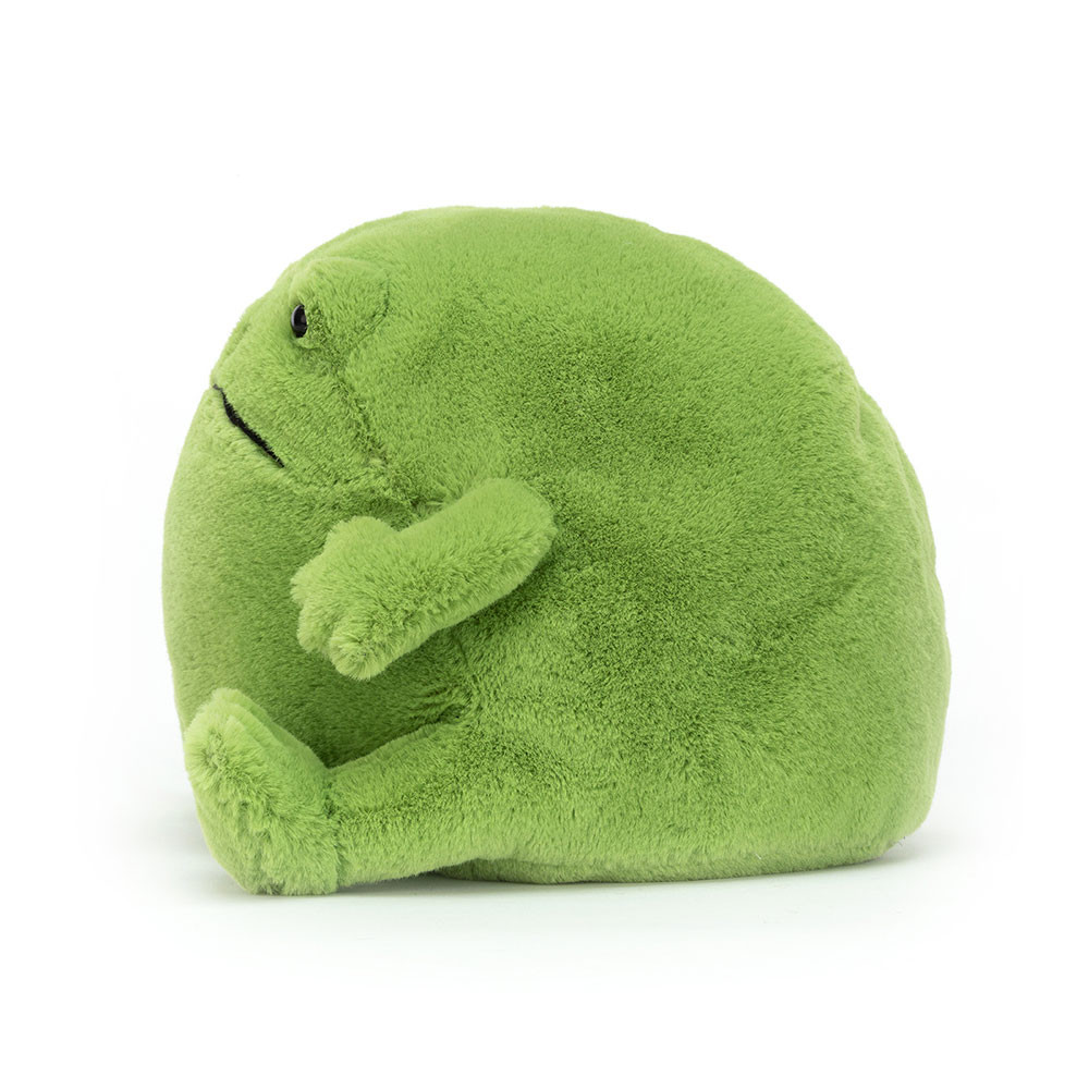 Ricky Rain Frog - Image 15