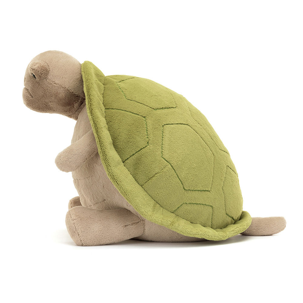 Timmy Turtle - Image 5