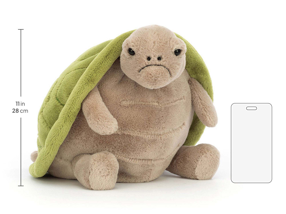 Timmy Turtle - Image 8