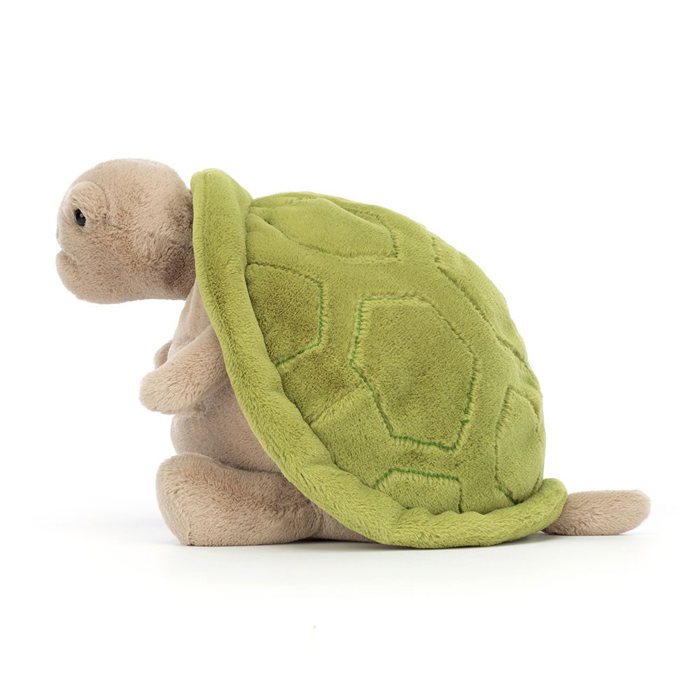 Timmy Turtle - Image 11