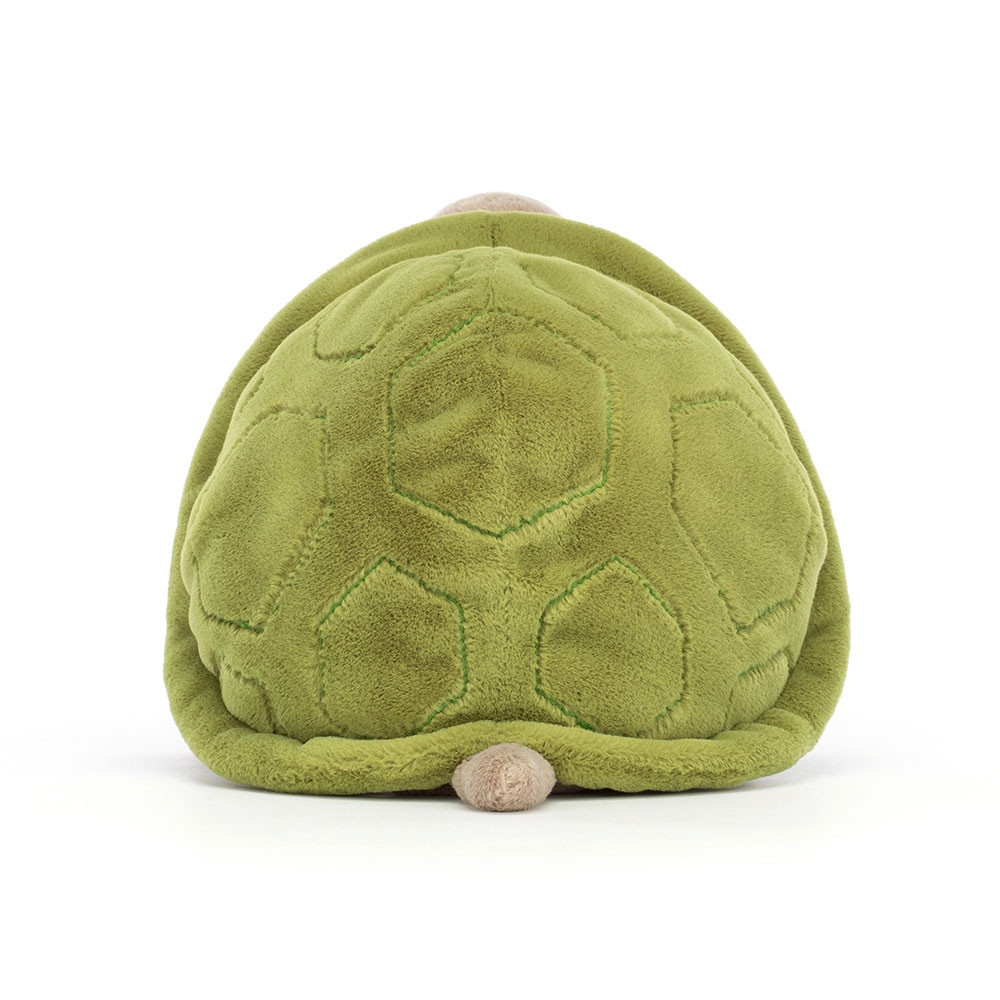 Timmy Turtle - Image 12